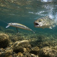 Leurre de pêche dur avec langue métallique