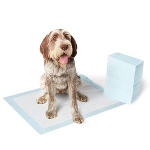 Pads absorbants jetables pour soins post-partum intérieur-extérieur, support ODM/OEM, pour l'entraînement des chiens - Product Image 2