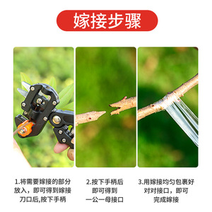 Tijeras de injerto Niu Xiang, hoja de acero al carbono de 1 cm, bloqueo de seguridad, para podar árboles frutales - Product Image 5