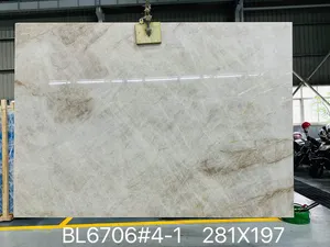 Schlussverkauf brasilianischer Naica-Quartzit natürlicher weißer Granit-Steinplatten Arbeitsplatte Taj Mahal Granit - Product Image 3