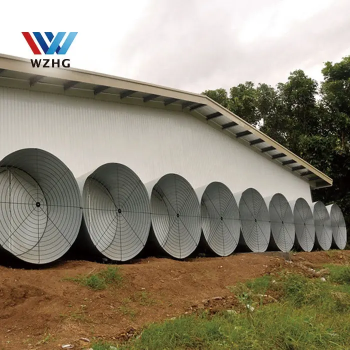 Prefab custom poultry farm Q355B Q235B steel structure house 10000 pcs chicken house steel metal sheds cow sheds for sale