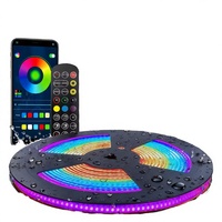 Bande lumineuse LED intelligente RGB 5M 30M 12V pour extérieur, blanc chaud et froid, avec contrôle par application, indice de protection IP67, puce Bridgelux IC