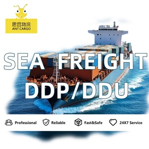 Agent d'expédition porte-à-porte DDP FCL Chine vers Europe Belgique Transitaire Service Logistique Transport de Marchandises Entreprise de Shenzhen - Product Image 1