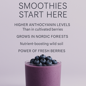 ผงบลูเบอร์รี่อบแห้งแบบแช่แข็ง ผลิตตามความต้องการของลูกค้า (OEM) ผงบลูเบอร์รี่เข้มข้นจากบลูเบอร์รี่ป่า ผงบลูเบอร์รี่ - Product Image 4