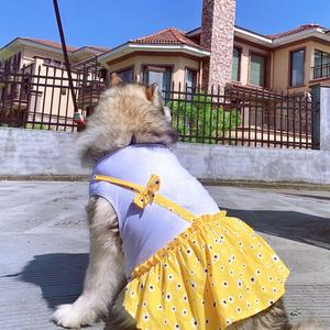 Robe à bretelles à taille haute pour <span class=keywords><strong>chien</strong></span> et chat, motif floral mignon, pour Teddy, Bichon, <span class=keywords><strong>Alaskan</strong></span> <span class=keywords><strong>Malamute</strong></span>, Golden Retriever, Samoyed, printemps/été - Product Image 1