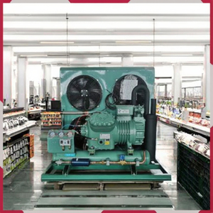 Energiesparende Ferngesteuerte Luftgekühlte Kühlaggregat-Einheit mit 5-10 Tonnen Kühlleistung für Kühllageranlagen - Product Image 2