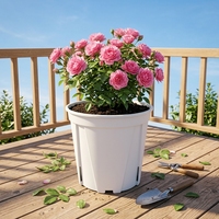 Pots de fleurs modernes et élégants en plastique blanc pour pépinière, jardinières verticales pour la maison, le bureau, avec drainage, pour plantes d'intérieur
