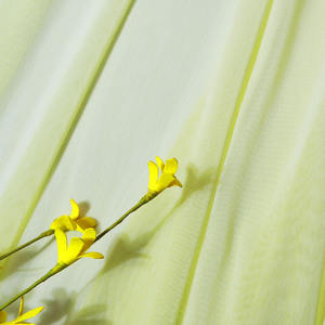 Kadın giyim kumaşı-bambu naylon spandeks file & <span class=keywords><strong>Rayon</strong></span> viskon Net kumaş, iç çamaşırı için cilt dostu - Product Image 3