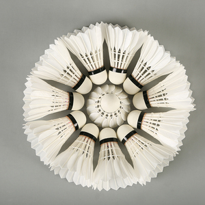 ลูกขนไก่<span class=keywords><strong>ย</strong></span>ี่ห้อ Yang Yang 300b ผลิตในจีน ปี 2023 รับผลิตแบบ OEM - Product Image 5