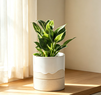 Pot de fleurs en porcelaine auto-arrosant avec trou de drainage, réservoir d'eau, durable, écologique, design moderne pour plantes d'intérieur, 4,5 pouces