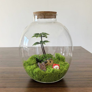 Vaso Contenitore Trasparente in Vetro <span class=keywords><strong>per</strong></span> Terrario con Coperchio in Sughero e Luce LED <span class=keywords><strong>per</strong></span> Piante Verdi e Acquario - Product Image 1