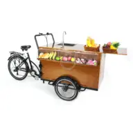 OEM 3 גלגל דוושת עוזר מותאם אישית קפה אופני חשמלי חם כלב עגלת מסחרי אוטומטיות תלת אופן Trike מטען אופניים