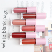 Emballage de tube de brillant à lèvres de haute qualité vegan clair rose nude brillant à lèvres de marque privée