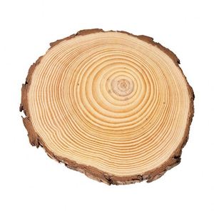 Décorations de porte de Noël peintes à la main, tranches de bois de pin gravées, accessoires de photographie, panneaux indicatifs pour l'intérieur - Product Image 5