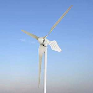 3000W Wind 48V 24V Horizonta Wind Kit Free Energy Converter with MPPT Controller for Home - Product Image 1