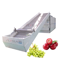 Mesh Belt blower droger fruitdroogapparatuur voor continue, hoogcapaciteitsdroging van druiven en veenbessen