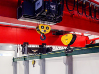 Palans électriques à câble de style européen 1 tonne 2 tonnes 3 tonnes 5 tonnes à faible hauteur de levage