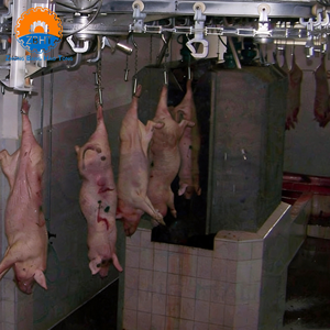 Attrezzatura Completa per la Macellazione di Suini per Mattatoi, Macchinari ad Alta Capacità per la Lavorazione della Carne Suina con Motore e Cuscinetti, Design Personalizzabile - Product Image 2