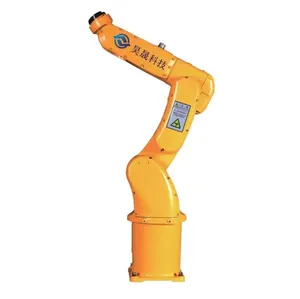 Automatic Painting robot for toys with 6 axis robot arm price