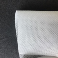 Sacs à thé biodégradables en acide polylactique PLA, tissu non tissé spun-bonded pour sac filtrant