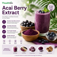 Poudre d'extrait naturel de baies d'açaï, extrait pur de plantes, extrait de fruits d'açaï, matière première de qualité alimentaire, vente en gros en vrac
