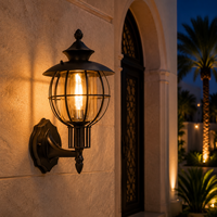 Lanterne murale d'extérieur Globe Cage avec verre transparent pour entrées de villas