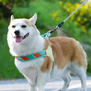 Henshine 2025 Popular hecho en fábrica colorido ligero cómodo Nylon poliéster cuero sin tirar arnés para perros - Product Image 3