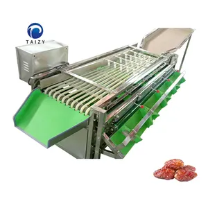 Fruitverwerking Kleine Dadelpalm Appel Olijf Sortering Formaatmachine