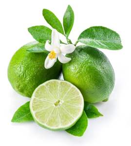 Limones sin semillas de Vietnam frescos Premium precios atractivos al por mayor productos agrícolas naturales de exportación de alta calidad - Product Image 1