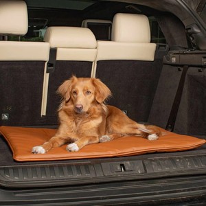 Tikar tempat tidur hewan peliharaan Gel pendingin Modern musim panas grosir kucing anjing bahan nilon PVC tahan gigit cetak hewan penutup lembut yang dapat dilepas - Product Image 1