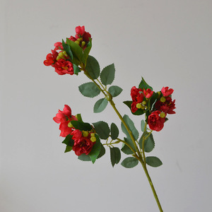 Injoy IJ044 - 18 Cabezas de Rosas Artificiales de Seda en Miniatura, Hechas a Mano, Impermeables, Realistas, para Decoración de Bodas, Cumpleaños y Hogar - Product Image 4