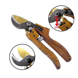 Hot-Selling Sk5 Blade Tuin Snoeischaar Fruittakken Bloeiende Fruitbomen Gereedschap Trimmen Tuinschaar