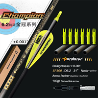Flèche de tir à l'arc en carbone pur Pandarus Champion 0,001'' ID 6,2 mm 32 pouces SP300/350/400/500/600/700/800 avec plume en plastique