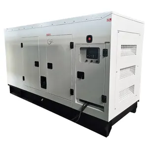 Factory cheap price 250KW 312.5KVA FAWDE Silent Diesel Set energy saving and environmental protection dynamo