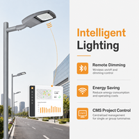 Lampadaire LED 90 à 160 lm W IP65 IK08, éclairage routier extérieur 15 W à 200 W, durée de vie de la lampe 50 000 h