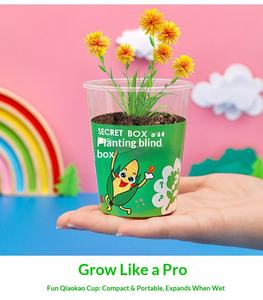 Boîte mystère <span class=keywords><strong>de</strong></span> plantes en pot en plastique pour enfants <span class=keywords><strong>de</strong></span> <span class=keywords><strong>maternelle</strong></span> – Petits cadeaux pour les 7-12 ans, utilisation créative sur bureau - Product Image 6