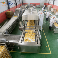 Ligne de production entièrement automatique de chips de bananes plantains avec trancheuse et machine de friture continue