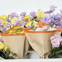 Bedruckte Einzigartige Recycelte Kunst-Kraftpapier-Hülle - Kreative Holzfaser-Pyramide für Blumen- und Pflanzenverpackungen