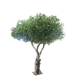 עץ זית ידידותי לסביבה פיברגלס מותאם אישית עם צמחייה uv עמיד למים לקישוט מסעדה קישוטי זמן רב - Product Image 6