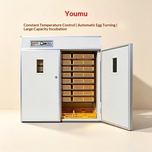 Nueva Incubadora Youmu Totalmente Automática de Triple Propósito con Capacidad Estándar para Huevos, Multifuncional para Incubación, Eclosión y Cría de <span class=keywords><strong>Pollitos</strong></span> - Product Image 2