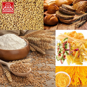 Molino de Alta Eficiencia para Trigo, Avena, Trigo Sarraceno y Cebada de 10 Toneladas, Máquina de Molienda en Venta y <span class=keywords><strong>Precio</strong></span> - Product Image 3