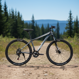 Phoenix — <span class=keywords><strong>vtt</strong></span> <span class=keywords><strong>29</strong></span> <span class=keywords><strong>pouces</strong></span> avec freins à disque à huile, vélo tout terrain oem, 30 vitesses, 27 vitesses - Product Image 6