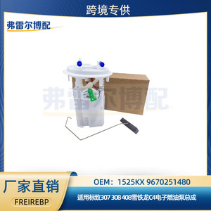 Pompe à carburant Peugeot Citroën 9670251480 1525KX pour 307 308 408 C4, pièce de rechange fabriquée en Chine - Product Image 5