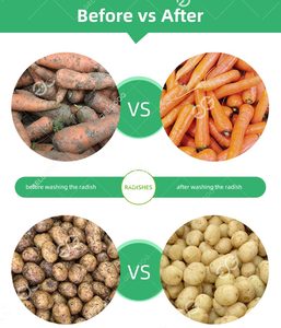 Spazzola Eddo lavapatate detergente per la pulizia della carota macchina per il lavaggio di frutta e verdura - Product Image 3