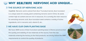 Doğal % Cis-15-Tetracosenoic asit Selacholeic asit acer Truncatum özü Lipidosome Nervonic asit tozu - Product Image 6