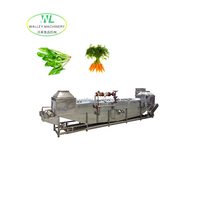 Aangepaste roestvrijstalen 220V 1000kg/uur 304 voedselverwerkingsmachine voor groente- en fruitfabriek voor planten