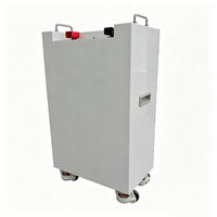 Batterie LiFePO4 à bas prix 51,2 V 200 Ah 10 kWh avec protection IP54, onduleur de système solaire hybride 10 kW pour camping-car