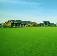 Meistverkaufter Synthetischer Kunstrasen Landschaftsgestaltung Grasteppich Kunstrasen für Fußball