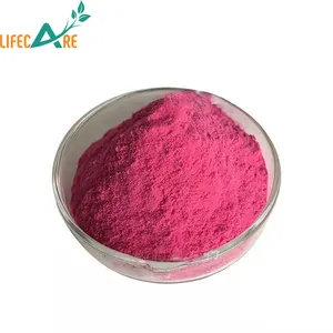 Hot Selling Red Dragon Fruit Powder Completely Water-soluble Red Dragon Fruit Juice Powder