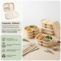 Boîte à lunch biodégradable en amidon de maïs à grande capacité avec trois compartiments et couvercle, sans BPA, sans PFAS et recyclable pour l'école